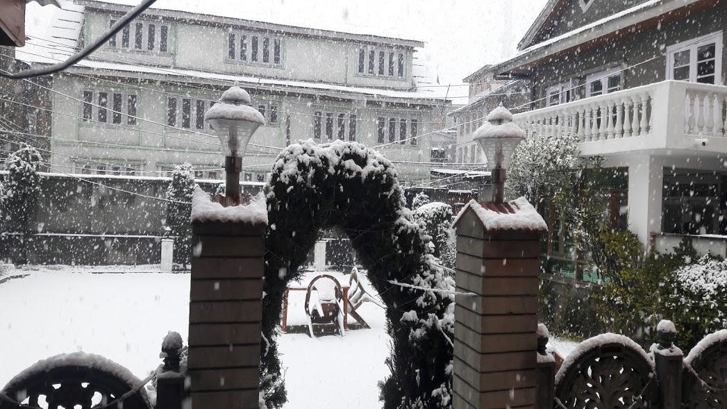 Blooming Dale Hotel Srīnagar 外观 照片
